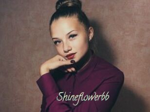Shineflowerbb
