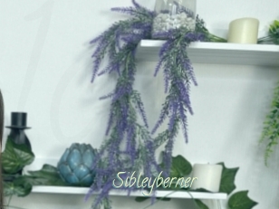 Sibleyberner