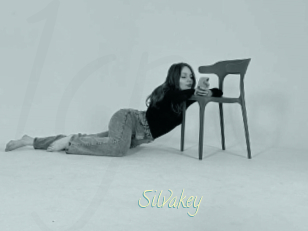 Silvakey