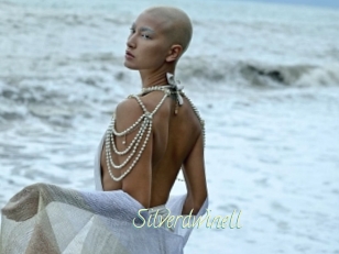 Silverdwinell