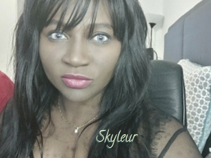 Skyleur