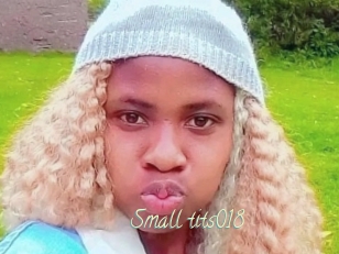 Small_tits018
