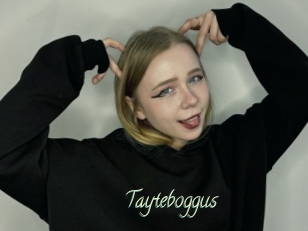 Tayteboggus