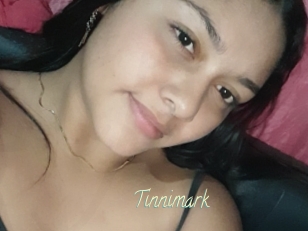 Tinnimark