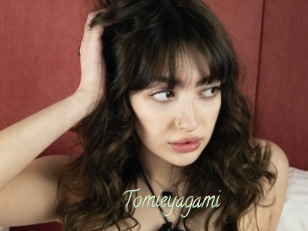 Tomieyagami