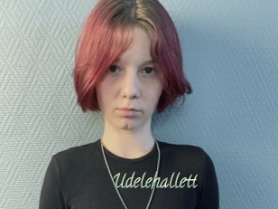 Udelehallett