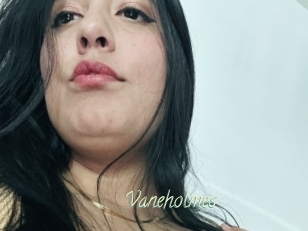 Vaneholmes