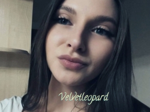 Velvetleopard