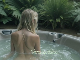 Venusgoddess