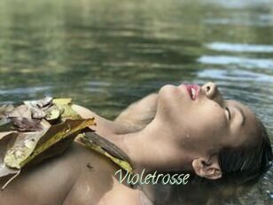 Violetrosse