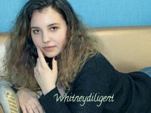 Whitneydiligent