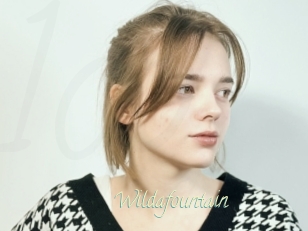 Wildafountain
