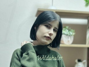 Wildahaler