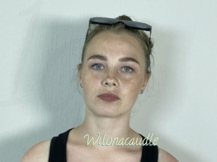 Wilonacaudle