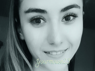 Yourmouse23