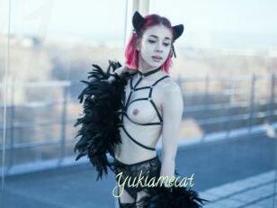Yukiamecat