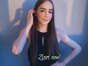 Zinet_new